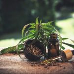 full-spectrum vs broad-spectrum CBD