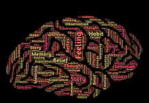 Is Mindset New Psychology of Success? Mindset New Psychology of Success