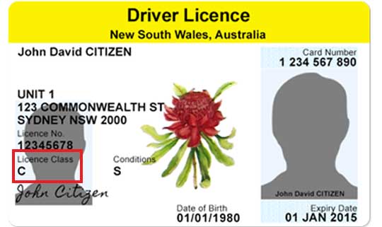 driving license status