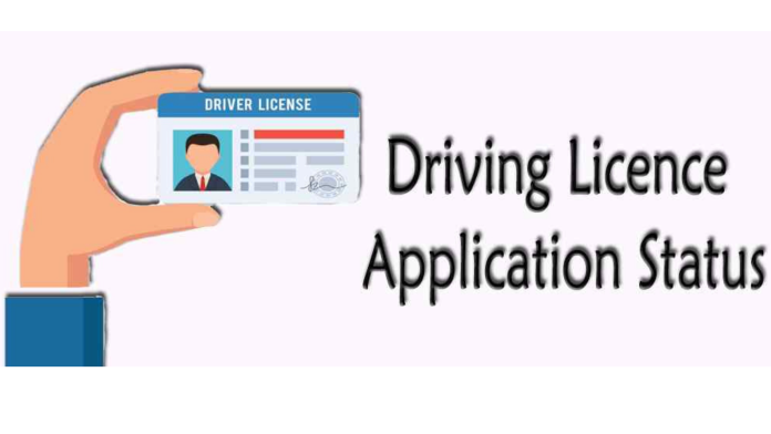 driving license status